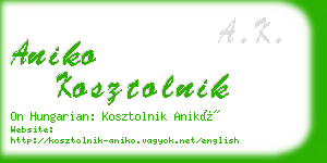 aniko kosztolnik business card